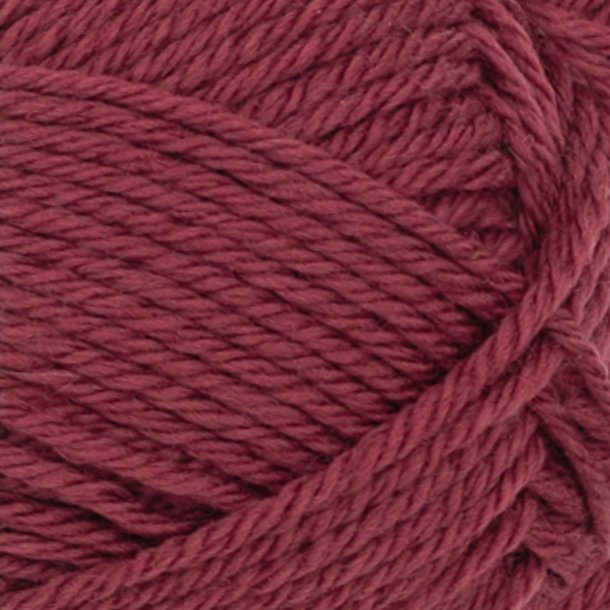 Double Sunday - Rustic Rose 4353 - 133536