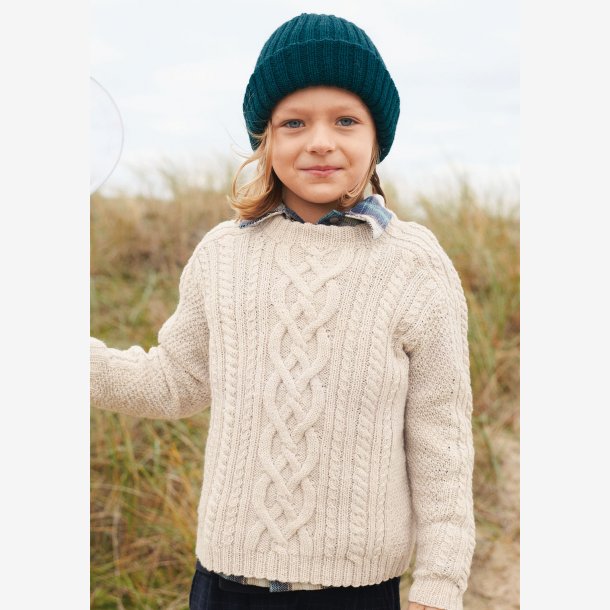 2101 - Model 1 - Arangenser