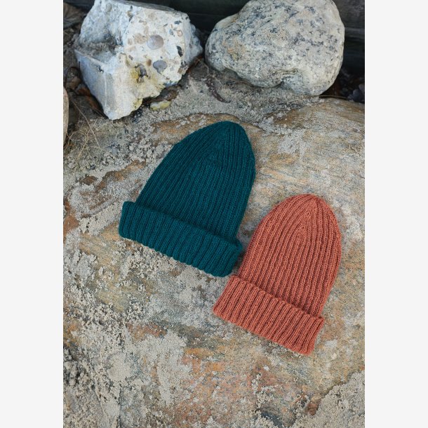 2101 - Model 3 - Ribblue