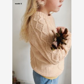 2107 - Model 2 - Arangenser