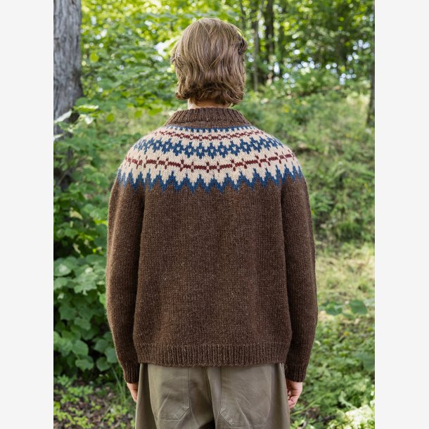 2410 - Model 06 - Polar-Light Herregenser 