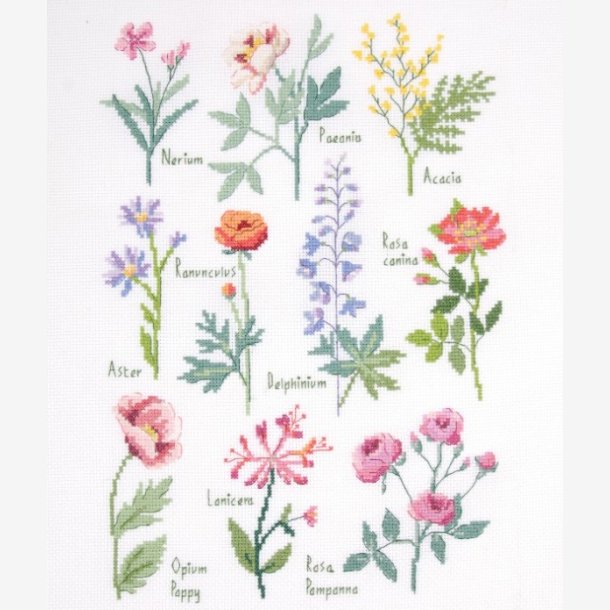 DMC - Cross Stitch Kit  Botanical Sampler