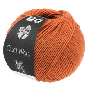Cool Wool - Orangebrun 2116 - 36322