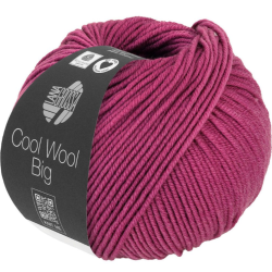 Cool Wool Big - Indisk rd 1027 - 36382
