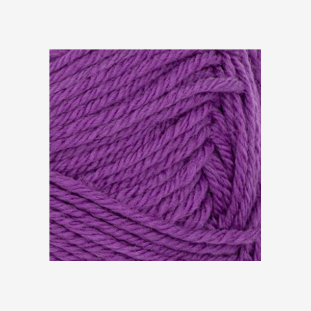 Double Sunday - Plum 5045 - 136566