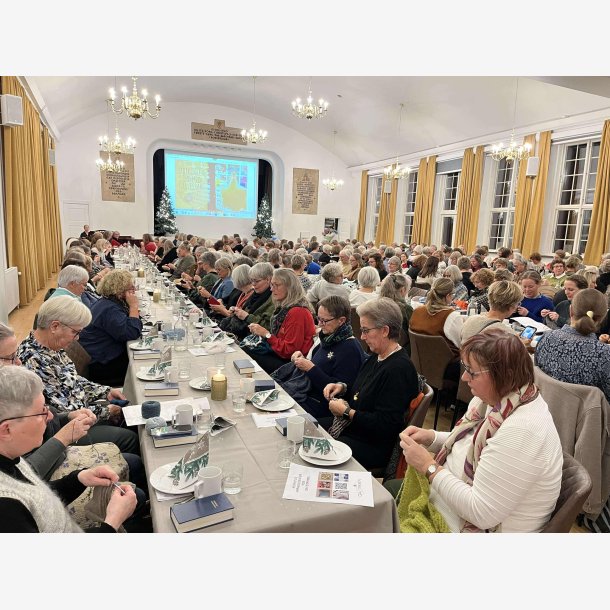 08.12.25 STRIK JULEN IND MED FLLESSANG