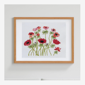 French Anemones - 12705 