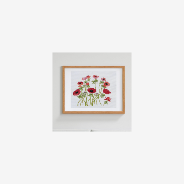 French Anemones - 12705 