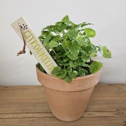 Plantepinde i keramik