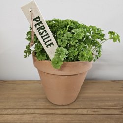 Plantepinde i keramik