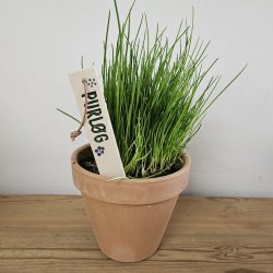 Plantepinde i keramik