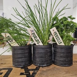 Plantepinde i keramik