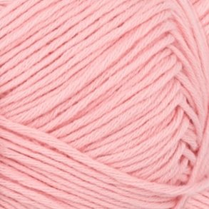 Mandarin Petit  - Blossom 4213 - 122115