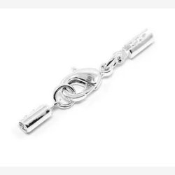 Ls til ldersnre - Forslvet 