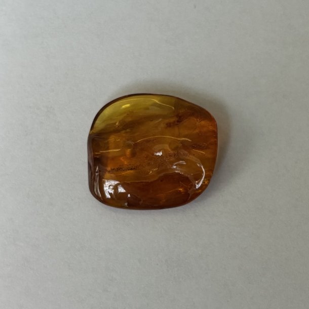 Rav knap  21 mm 