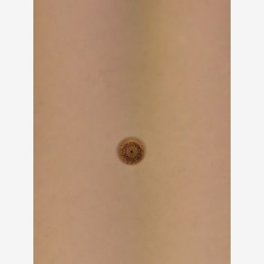 Tr�knap m. m�nster 15 mm